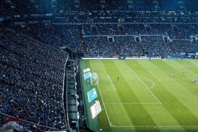 体育内容发布节奏与用户行为数据同步联动，体育用户的行为分析