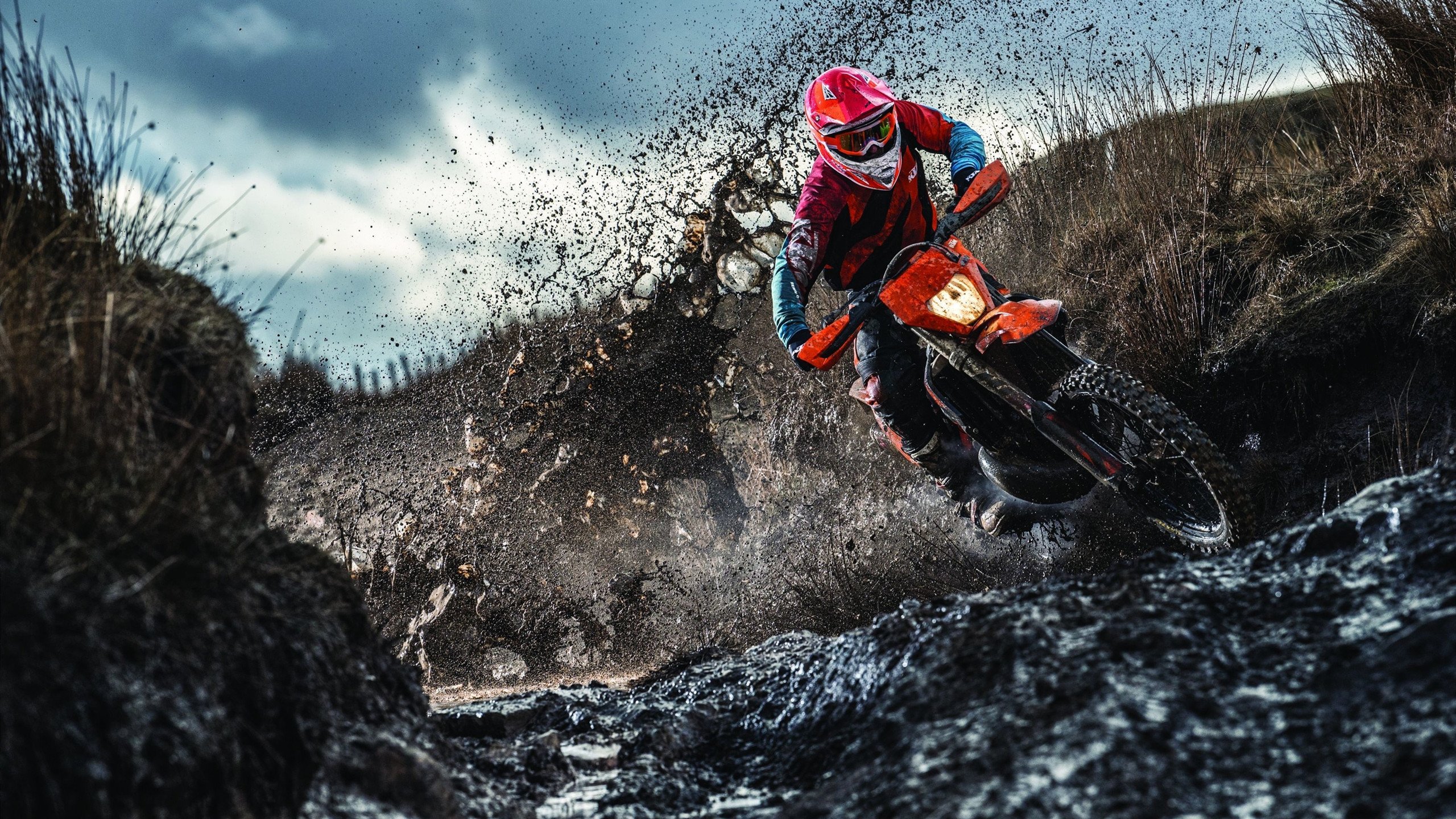 覃海洋赛场表现获教练高度评价，覃海洋游泳运动员资料