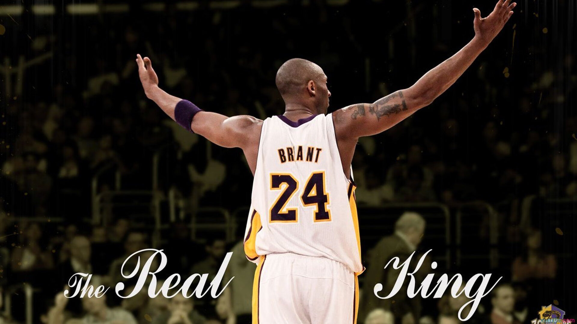 冠军蔡赟：生逢伟大，成就不凡人生！，蔡赟视频